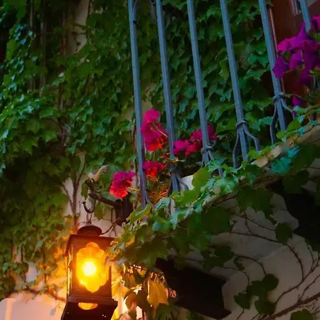 Blue House Terrace And Balcony Vakantiehuis *